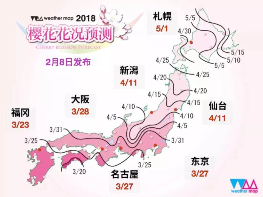 日本赏樱全攻略日本那些地方可以看樱花日本看樱花的最佳时间