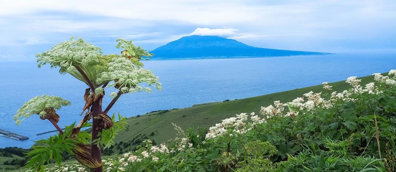 日本最北端绝景——北海道礼文岛澄海岬