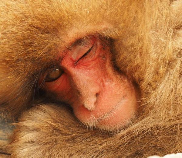 呢个仲喺度闭目入神05!