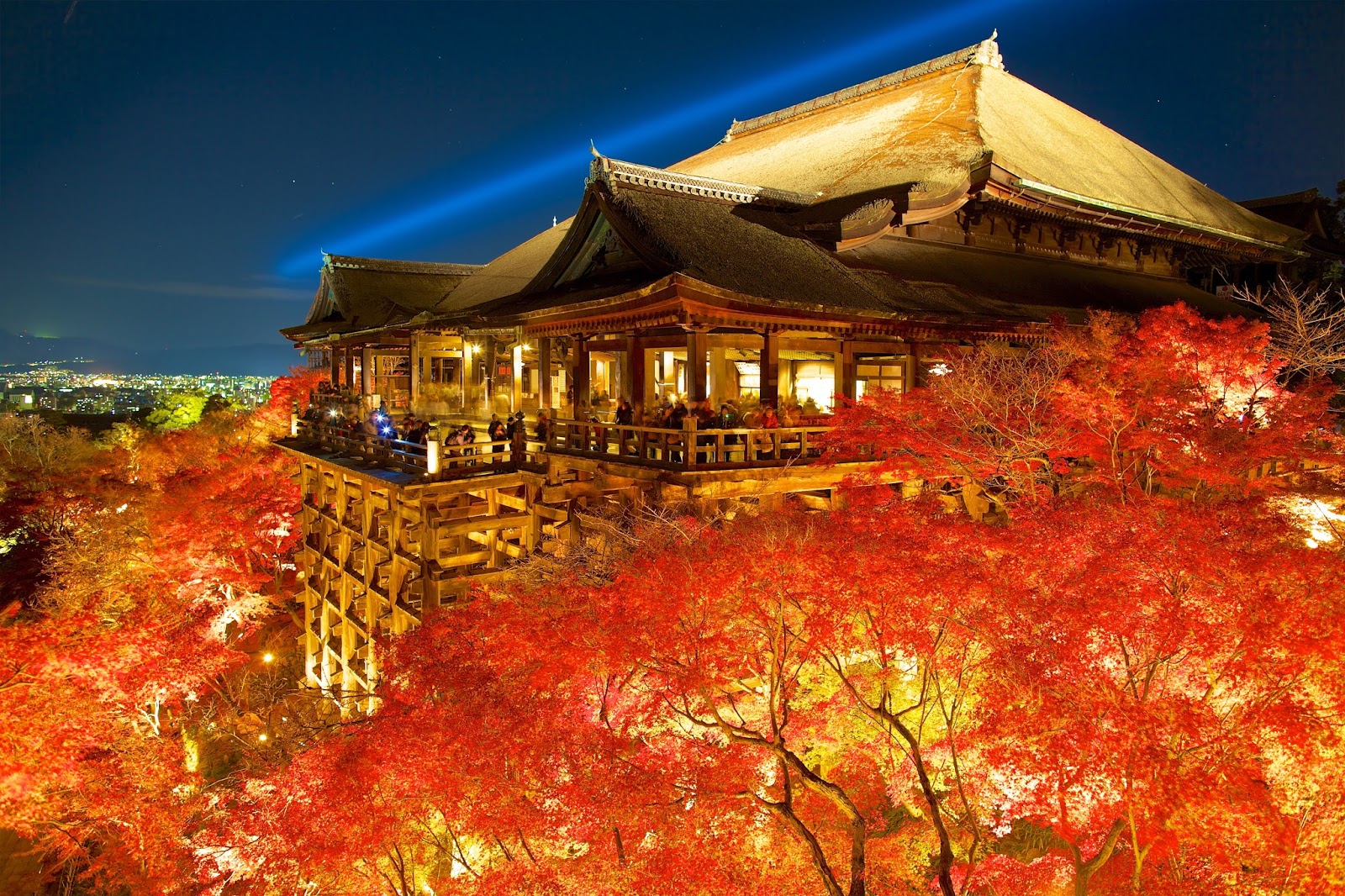 【2017京都红叶攻略】京都赏枫6大经典景点推荐